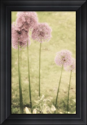 Framed Forgotten Summer Print