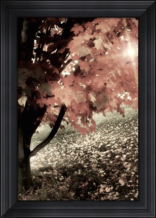 Framed October Ginger Print