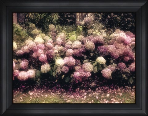 Framed Diamond Pink Print