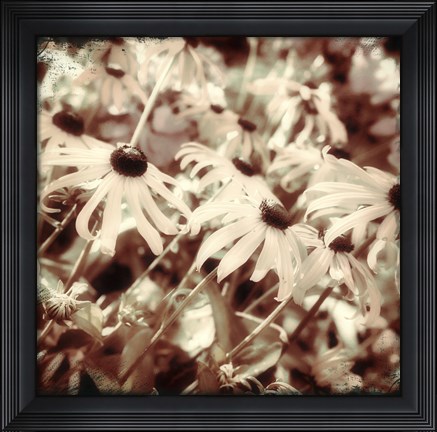 Framed To the Sun Print