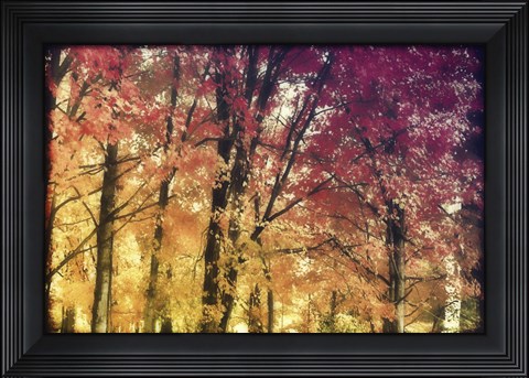 Framed Trees Print