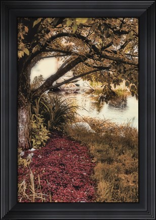 Framed Under the Tree Print