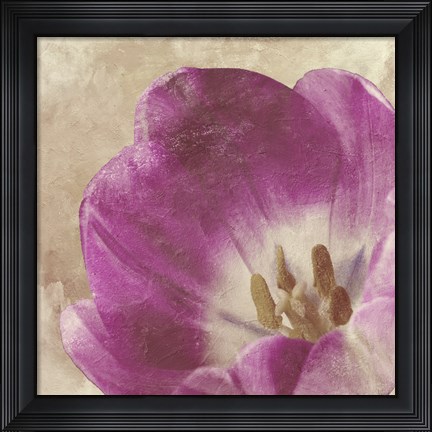 Framed Buttercream Tulip 1 Print