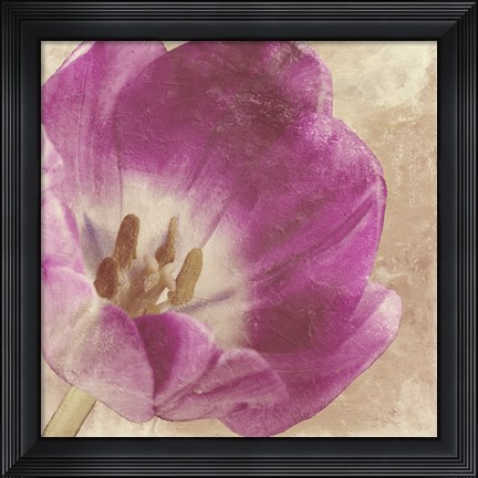 Framed Buttercream Tulip 1I Print