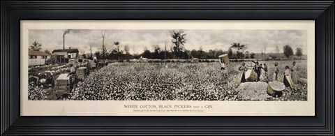 Framed Picking Cotton in GA 1915 Print