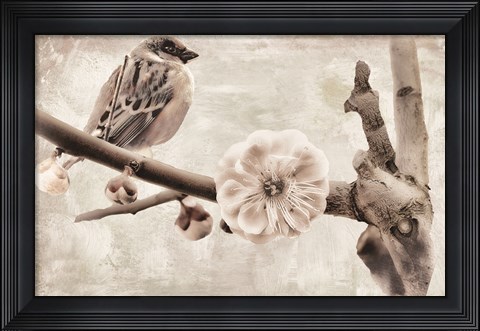 Framed Plum Blossom Print