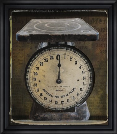 Framed Nostalgica: Vintage Scale Print