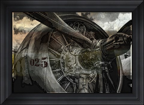 Framed Freedom Fighter Print