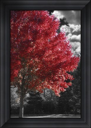 Framed New England Autumn II Print