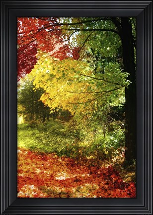 Framed New England Autumn III Print