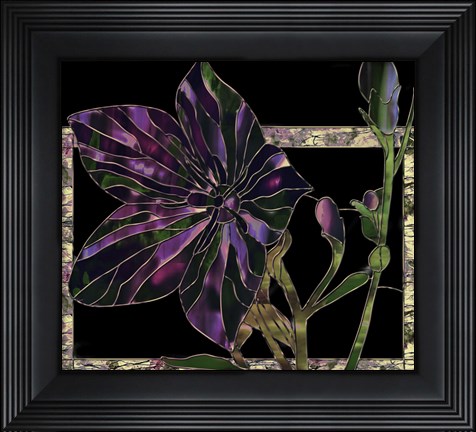 Framed Balloon Flower Print