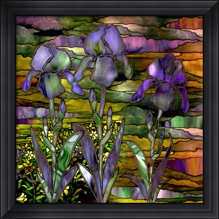 Framed Sunset Irises Print