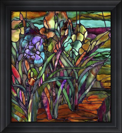 Framed Candy Coated Irises Print