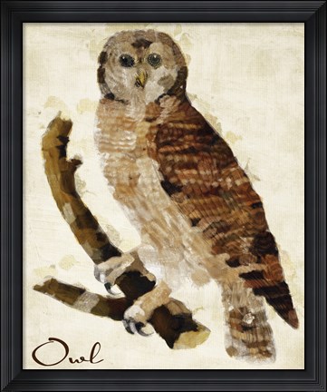 Framed Brown Owl Print