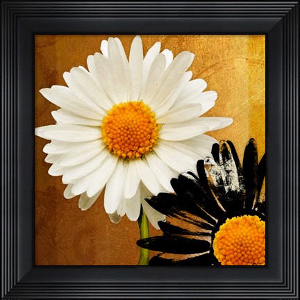 Framed Eclipse Print