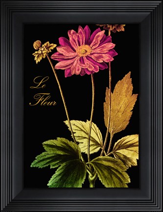 Framed Anemone Japonica Print