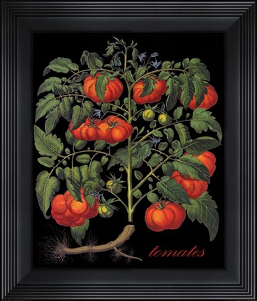 Framed Tomates Print