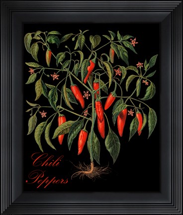 Framed Chili Peppers Print