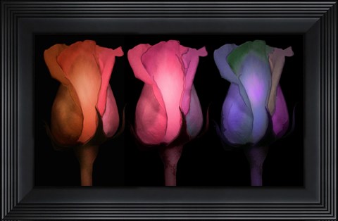 Framed Times Three Print