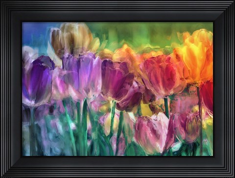 Framed Tulip Farm Print