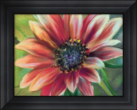 Framed Sundrenched Print