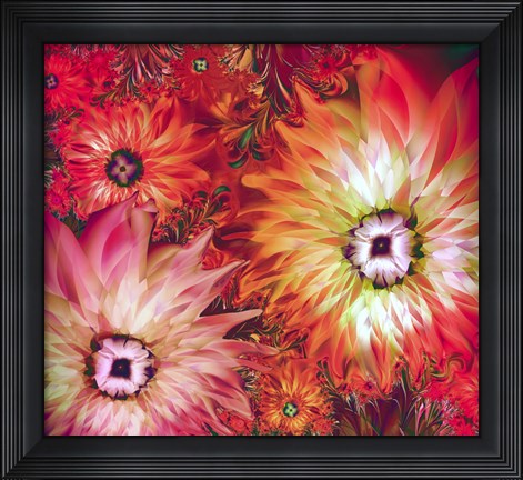 Framed Fire Asters Print
