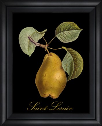 Framed St. Lerain Pear Print