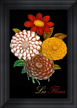 Framed Les Fleurs Print