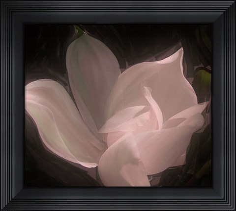Framed Magnolia Print