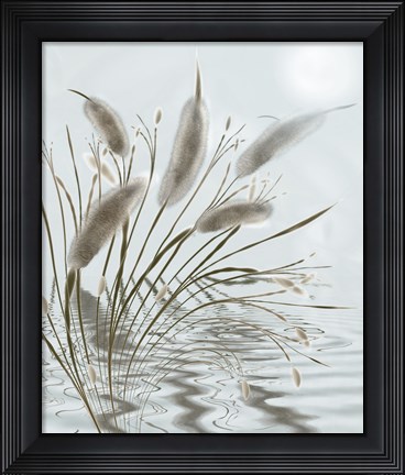 Framed Mourning Willow Pond Print