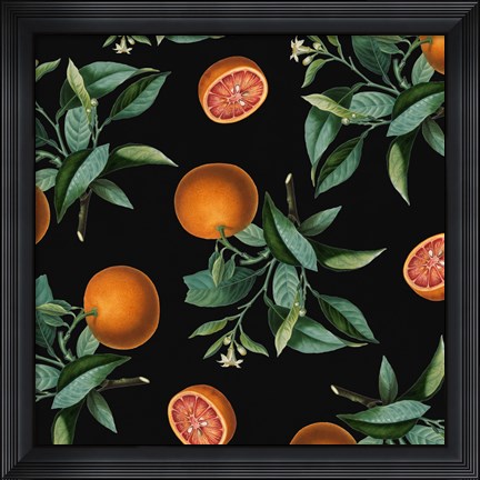 Framed Nature's Bounty -  Oranges Print