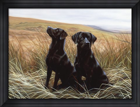 Framed Two Black Labs Print