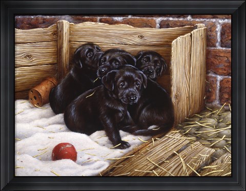 Framed Black Lab Puppies Print