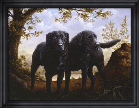 Framed in the Woods Print