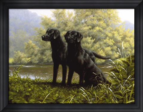 Framed Alert Print