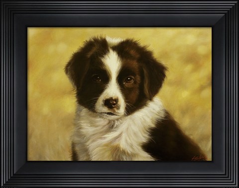 Framed Border Collie Pup 1 Print