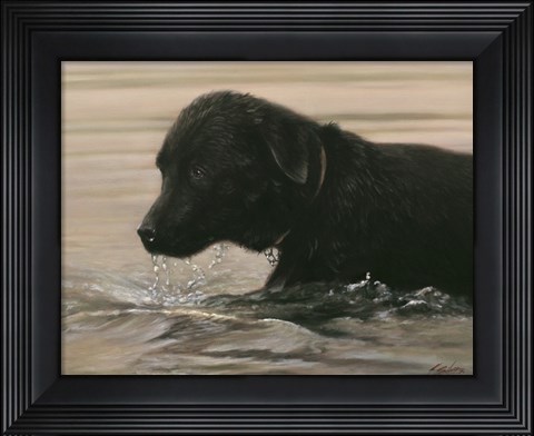Framed Wading Print