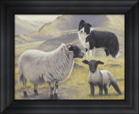 Framed Tending the Sheep Print