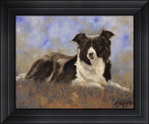 Framed Collie Resting Print