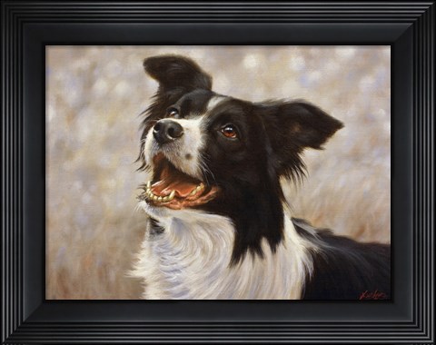 Framed Border Collie 1 Print
