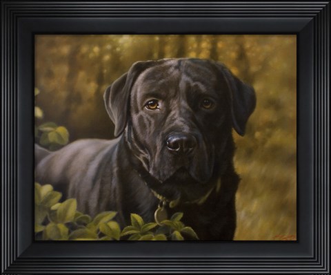 Framed Anticipating Print