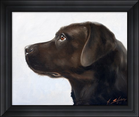 Framed Black Lab 1 Print