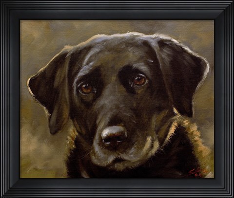 Framed Black Lab 3 Print