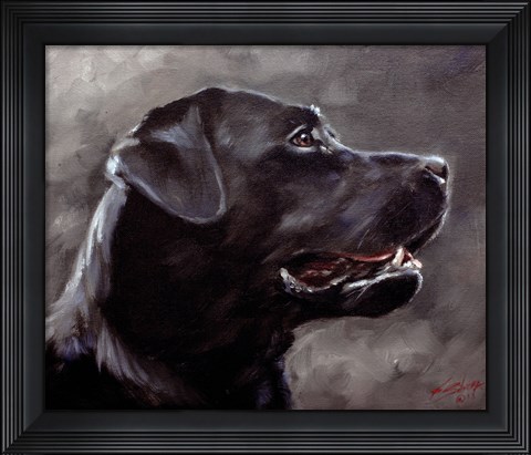 Framed Black Lab 5 Print