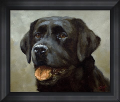 Framed Black Lab 6 Print
