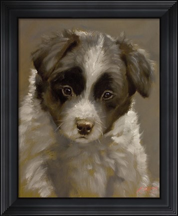 Framed Puppy 2 Print