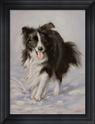 Framed Border Collie 2 Print