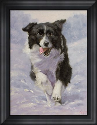 Framed Border Collie 3 Print