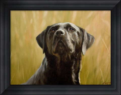 Framed Black Lab 12 Print