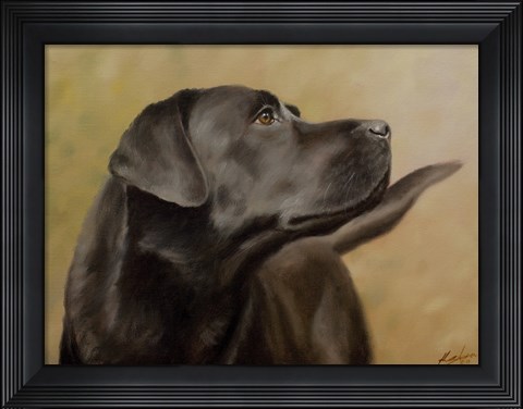Framed Black Lab 13 Print